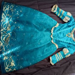 Disney Princess Dress!!
