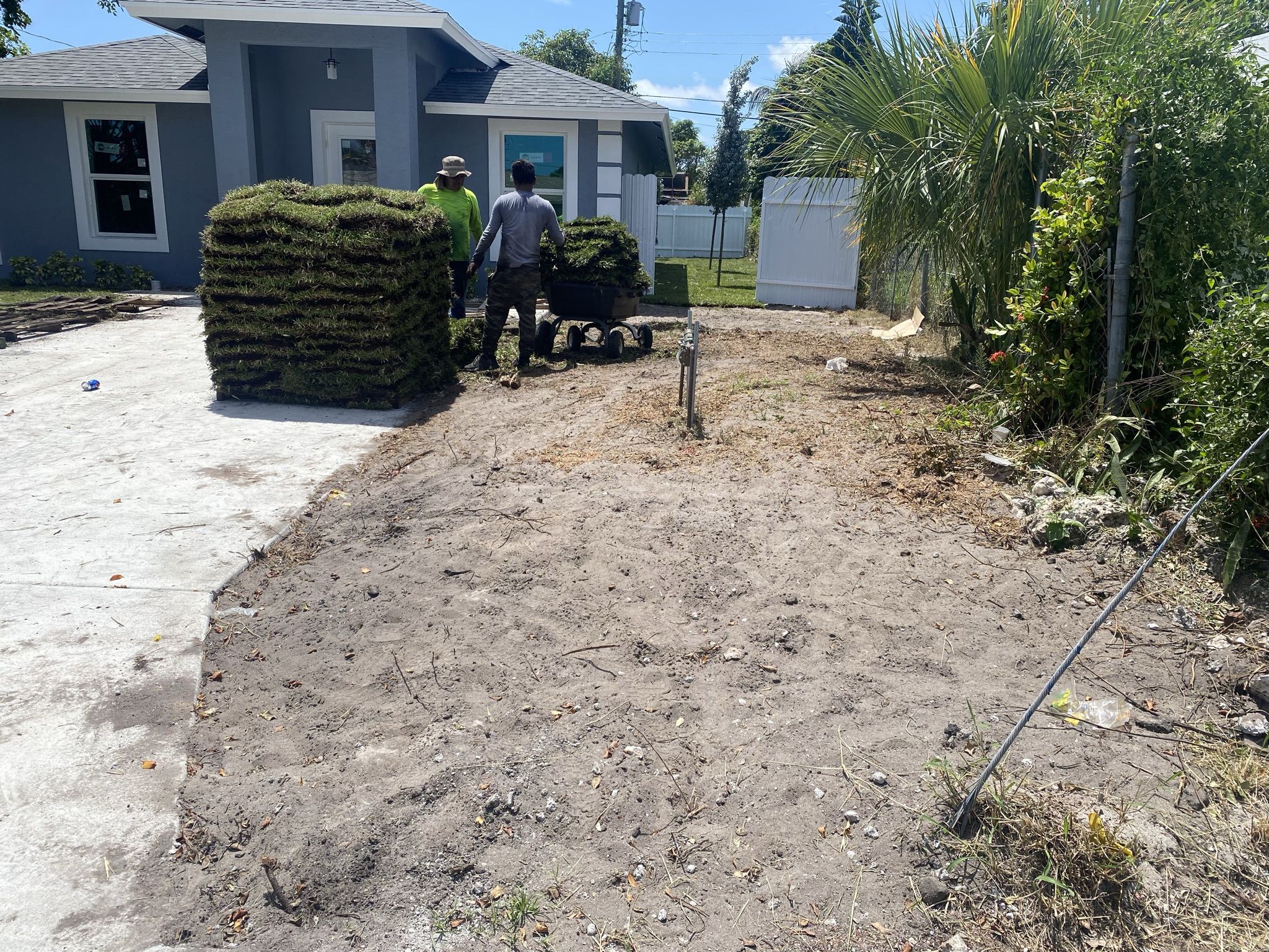 Fresh cut Sod Daily