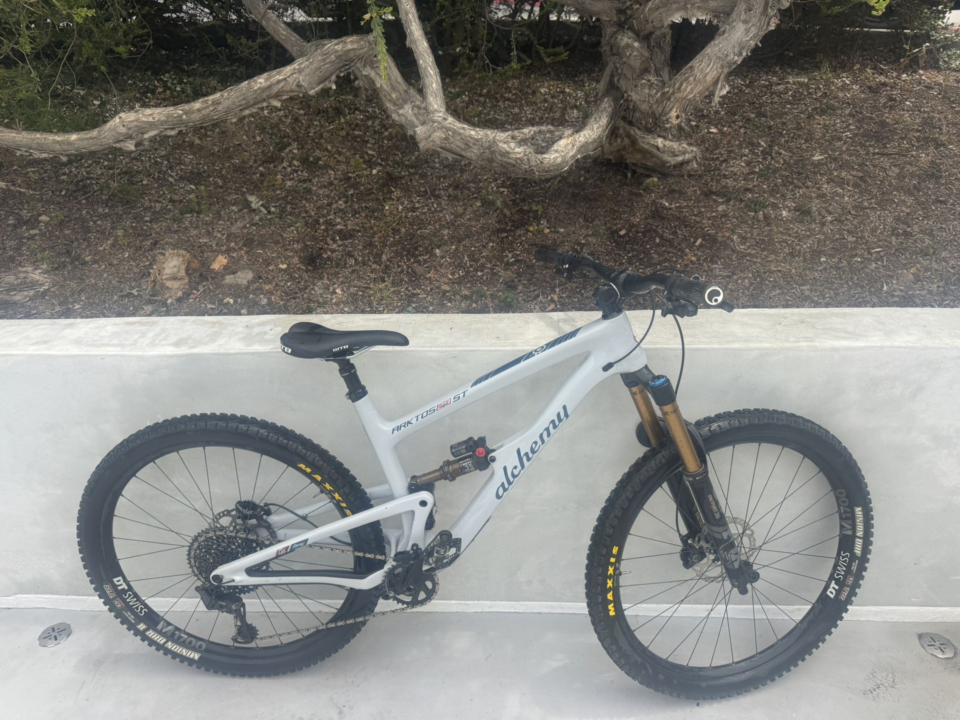 2019 Alchemy Arktos ST XT 29 Mountain Bike