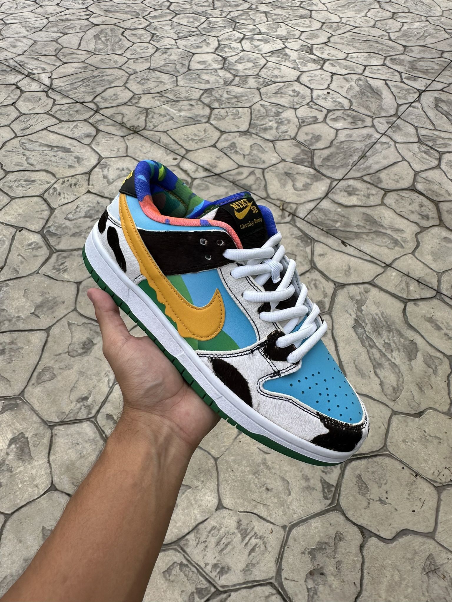 Nike Dunk Low " Ben & Jerry "