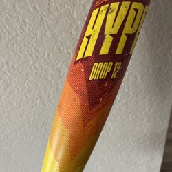 Easton Hype Fire USSSA Baseball Bat