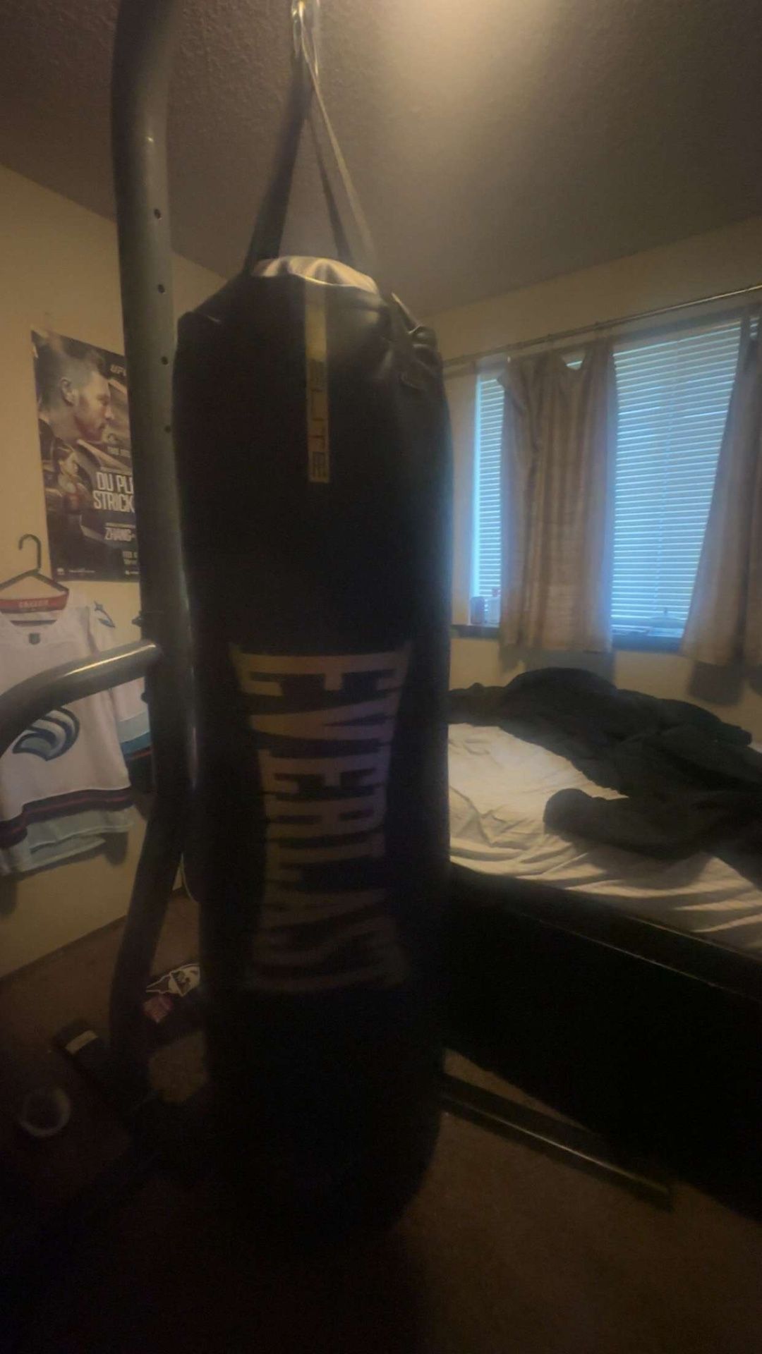 Everlast Punching Bag