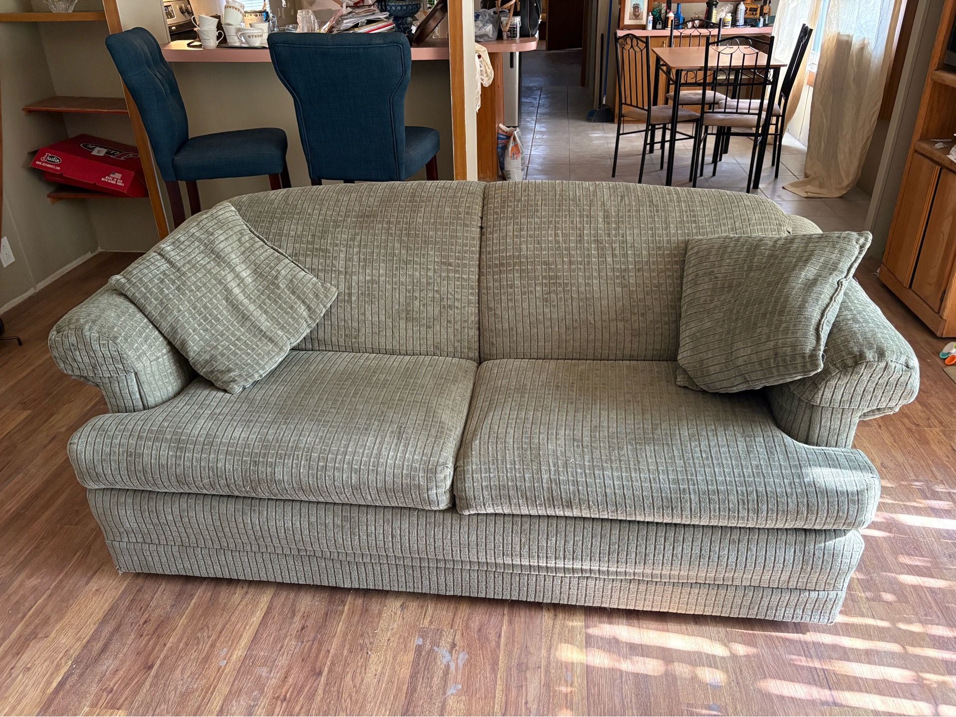 Green sofa/pull out couch