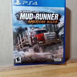 Ps4 MUD RUNNER 