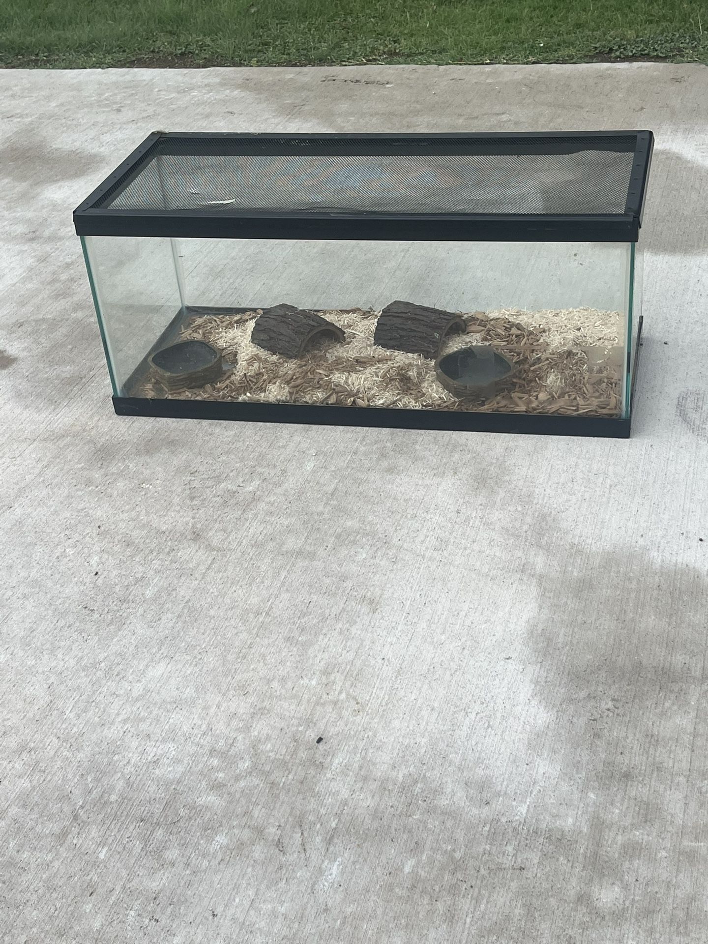 Hamster Terrarium Or Snake