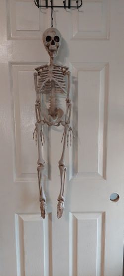 Small Skeleton