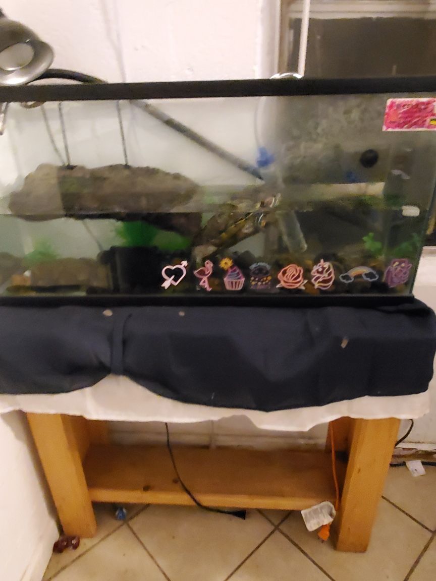 40 Gallon Fish Tank With Stand 