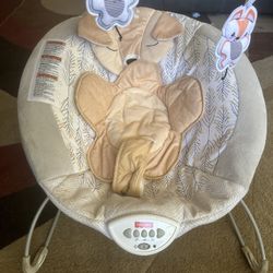 Baby Bouncer 