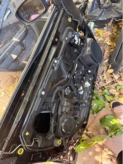 Dodge charger door