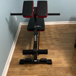 Fly Bird Strength Training Bench