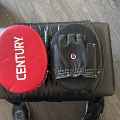 Century Punching Gloves