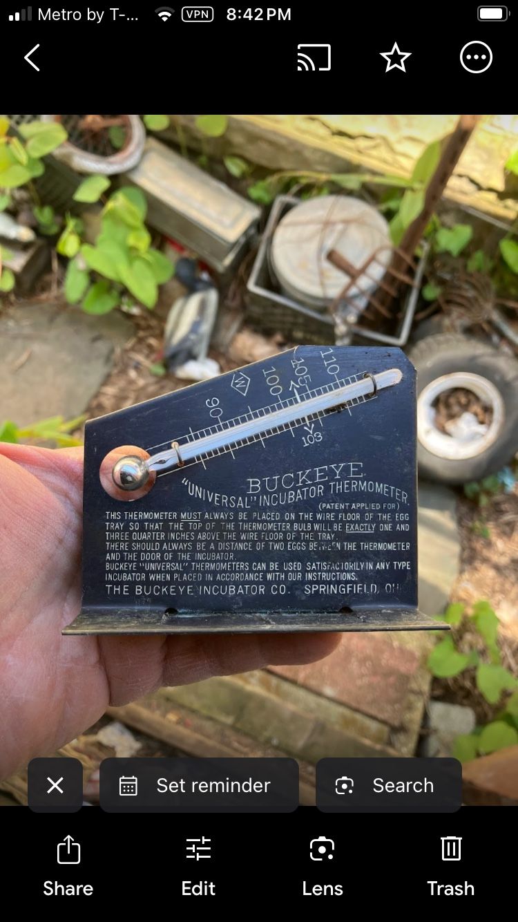 Antique BUCKEYE INCUBATOR THERMOMETER Chicken Egg Springfield Ohio Farm Coop Met