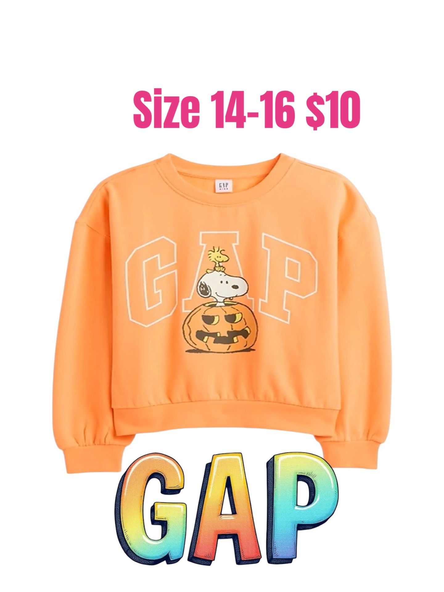Gap Kids Orange Peanuts Snoopy and Woodstock Halloween Sweatshirt Size XXL❤️M16 042526