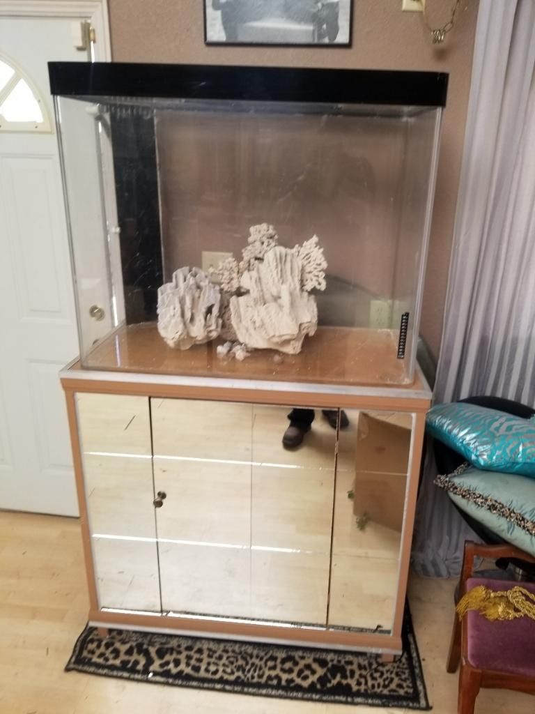 100 gallon Custom Acrylic Fish tank on a custom Mirror Stand!!!
