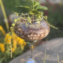 Wine Glass Succulent Plant Arrangement 