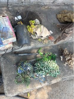 Fish aquarium accessories