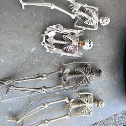 Halloween Skeletons 