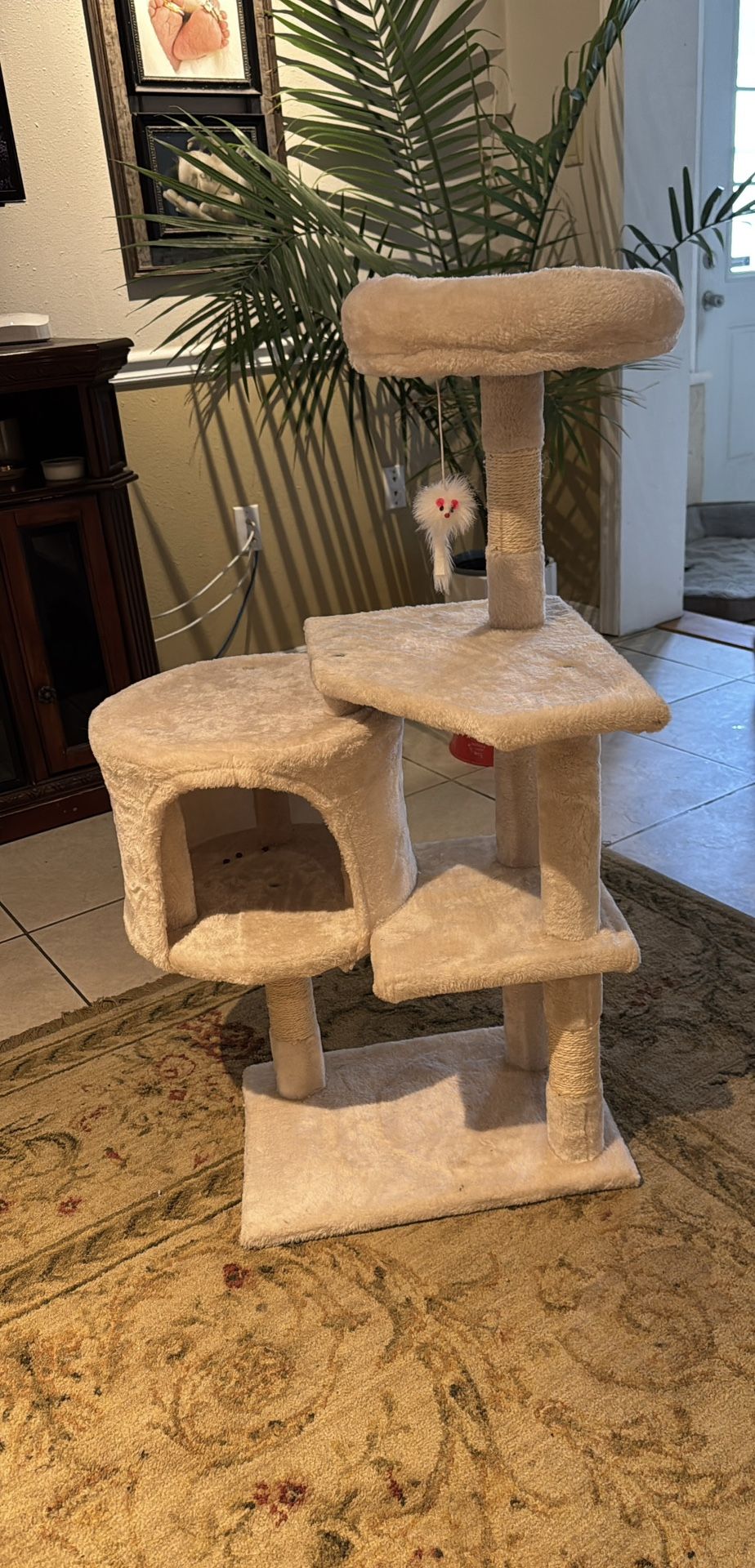 Cat Tower