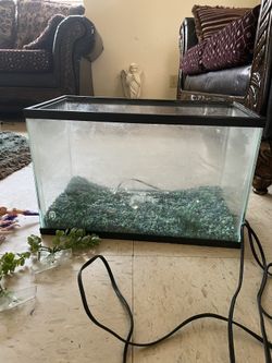 Small Fish Tank 