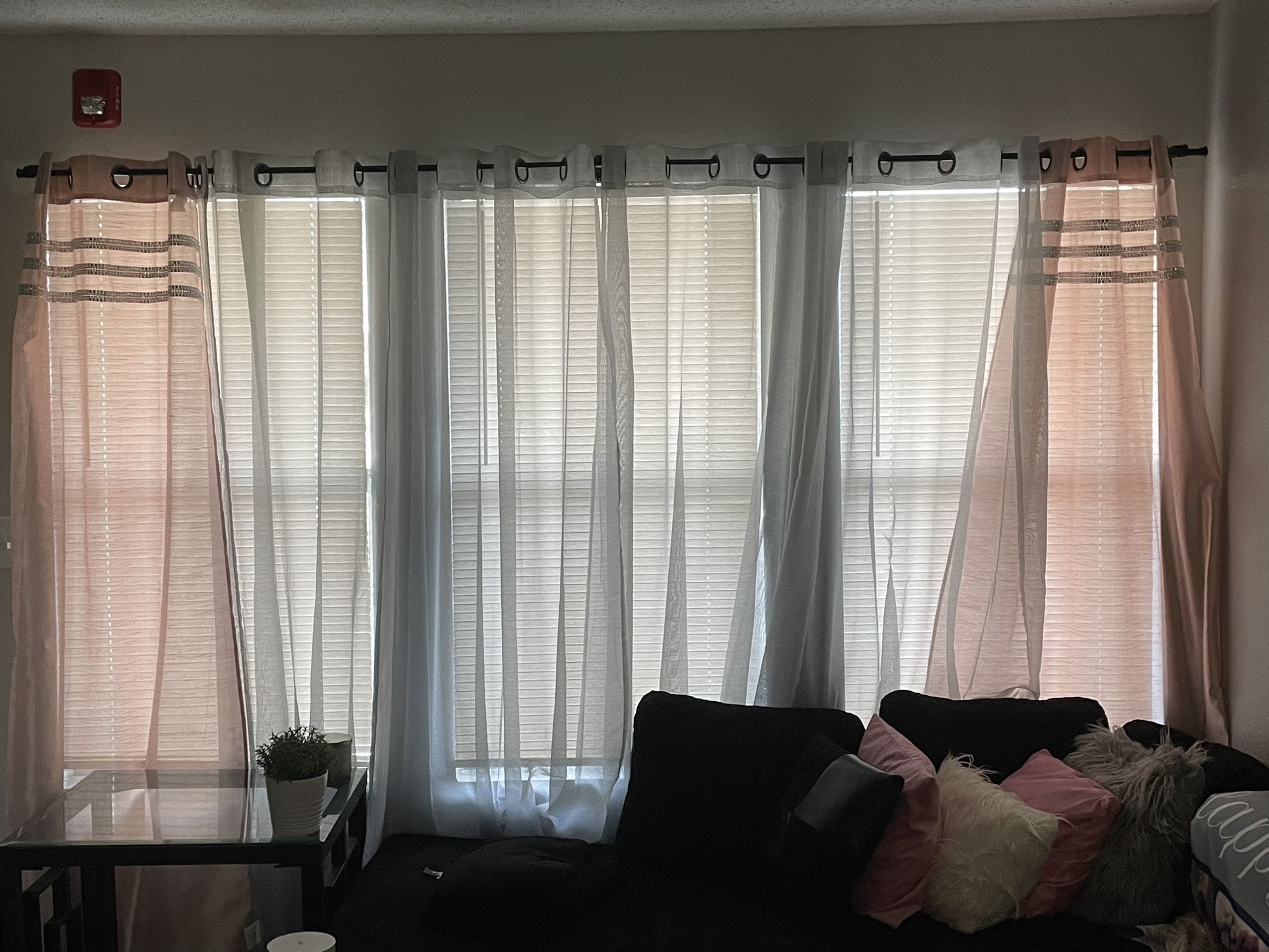 Curtains For sale 