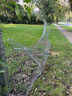 Chain link fence and Gates