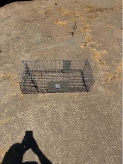 Large Animal cage/trap
