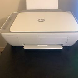 HP  Printer