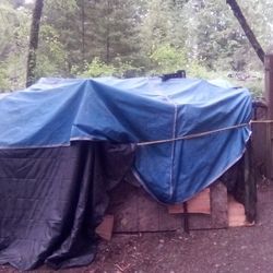 1+ Cord Dry Firewood