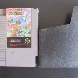 Nintendo Wizards And Warriors Game