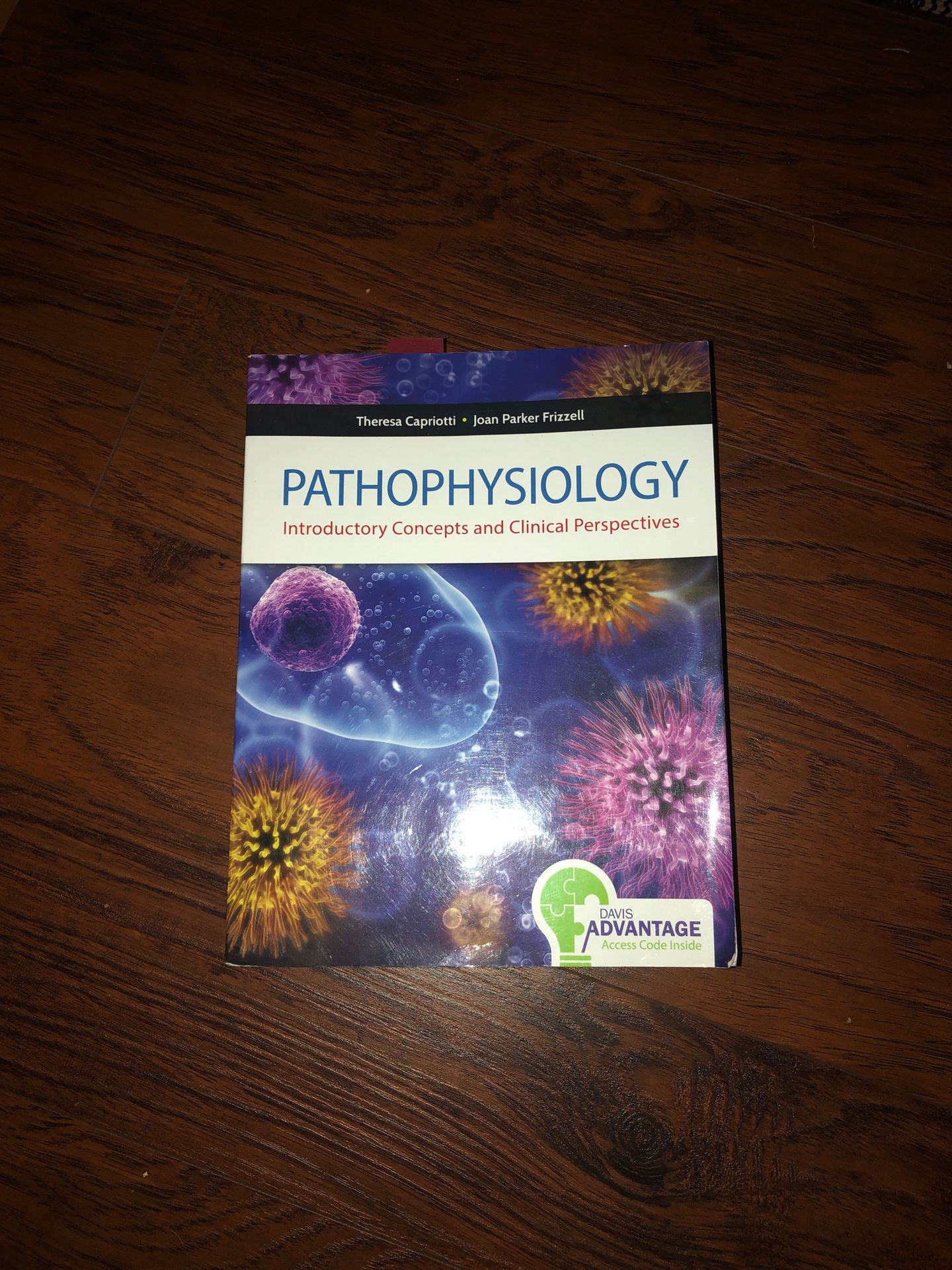 Pathophysiology Introductory Concepts and Clinical Perspective
