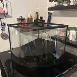 6 Gallon Corner Tank 