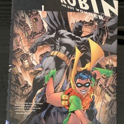 Batman And Robin Graphic Novel 