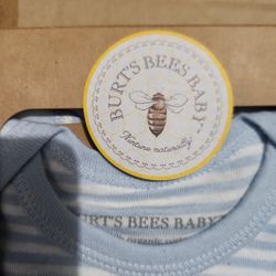 Burts Bees Bodysuits 2pc