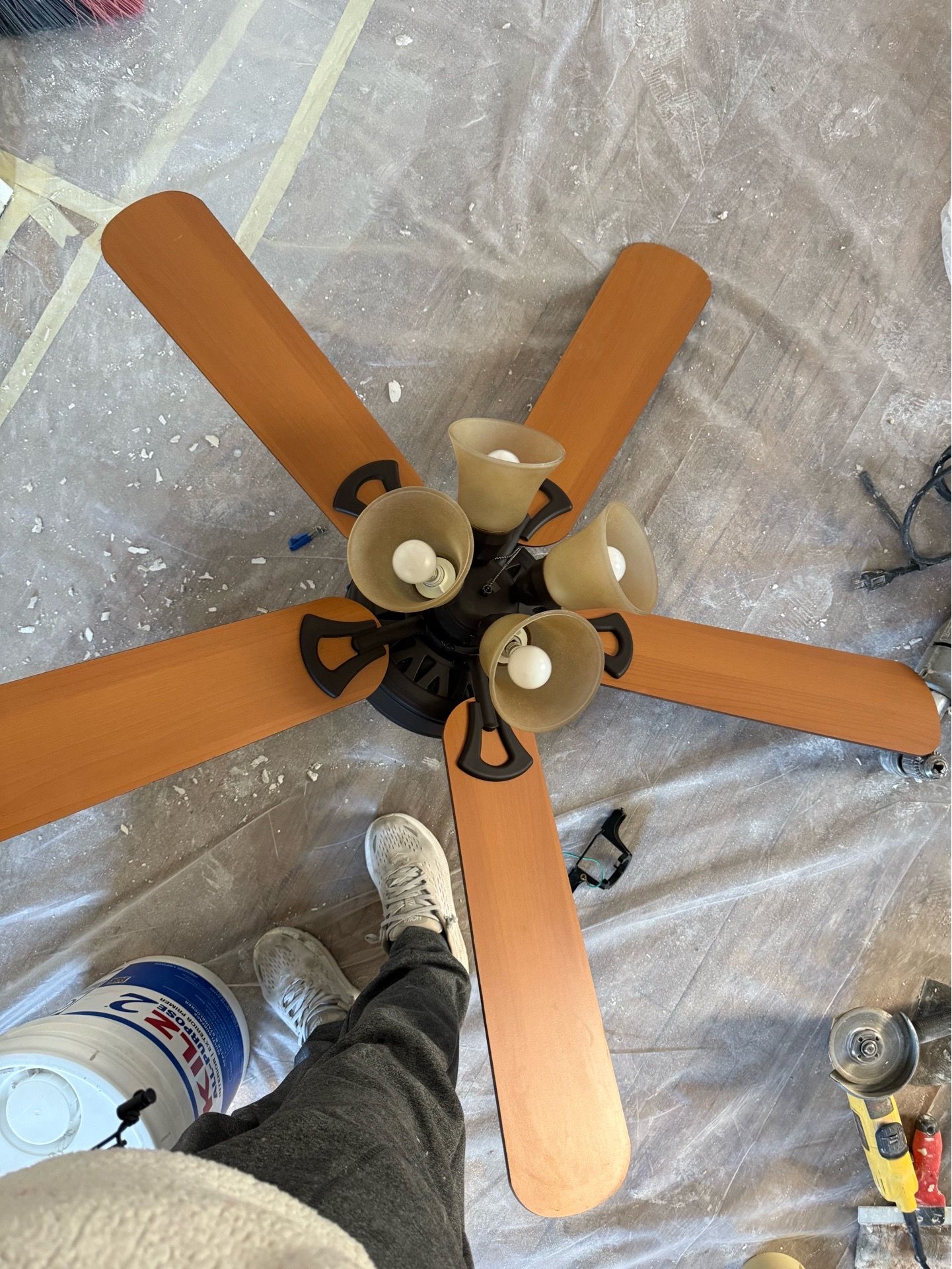 Fan