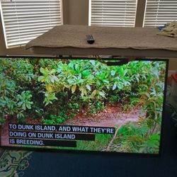 Samsung 50in TV NO Stand Has Remote 