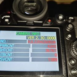 Panasonic S1 camera 
