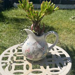 Very Healthy Shrek Ears And More In Cute  Ceramic Pitcher 