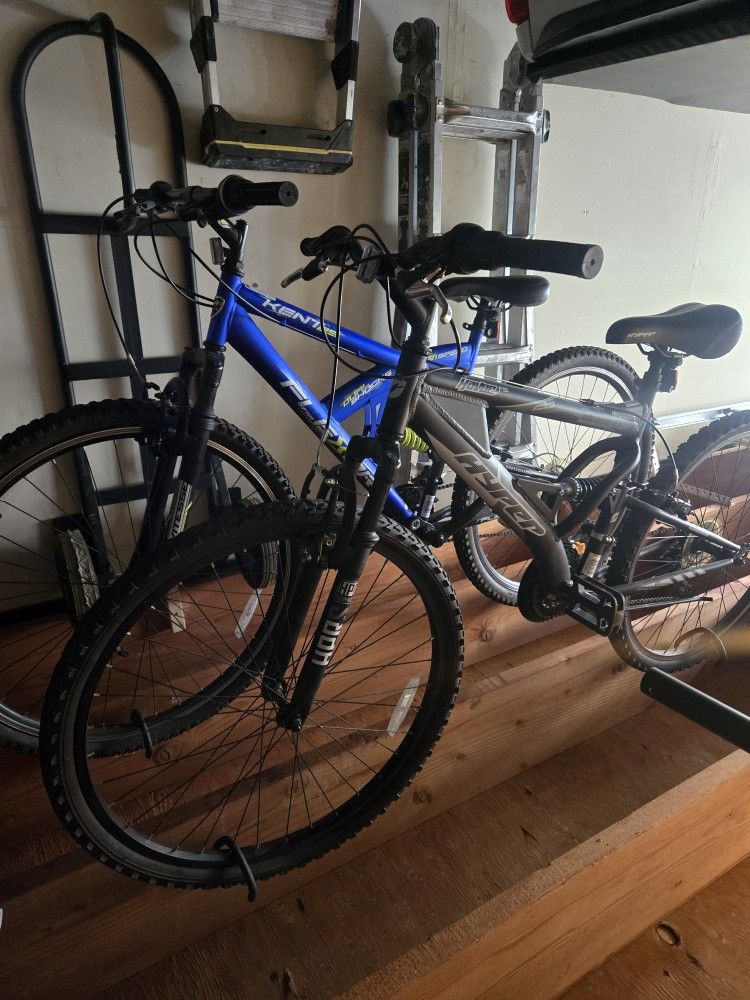 2 Bikes 100$