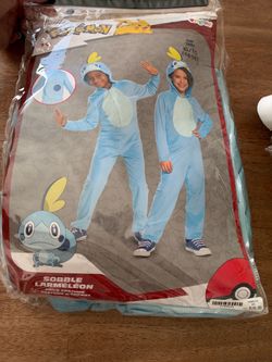 Pokemon costumes