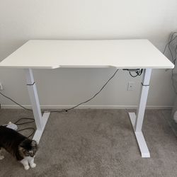 White Standing desk 
