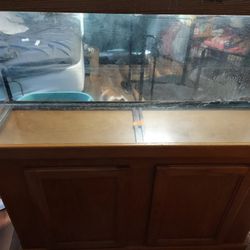 55 Gallon Fish Tank  With Stand