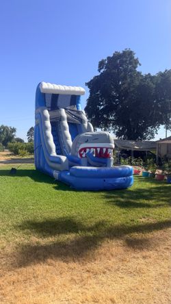 22ft Waterslides