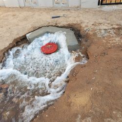 Flood Irrigation/Sprinklers