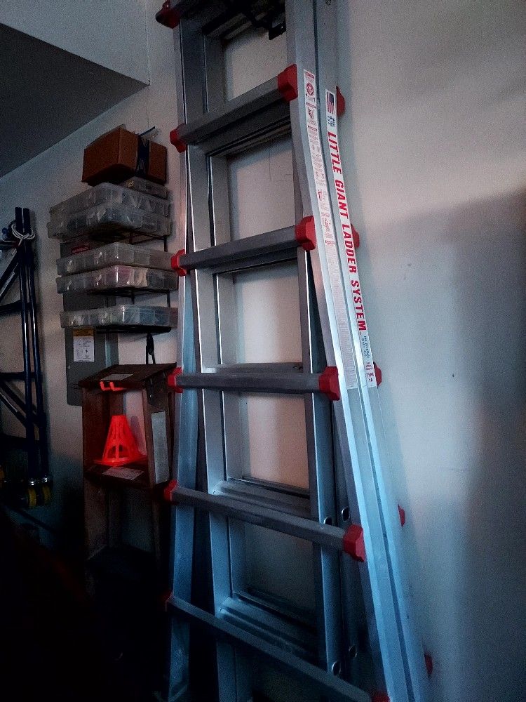 Little Giant Ladder