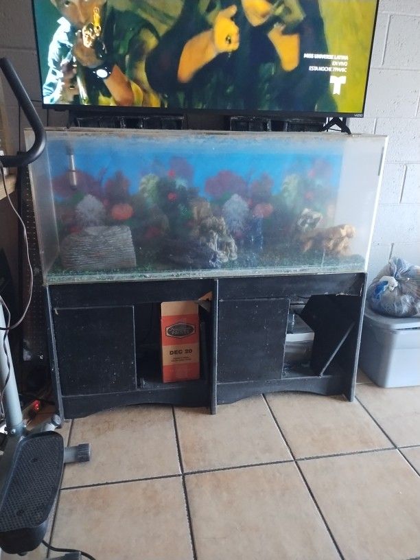 Fish Tank 