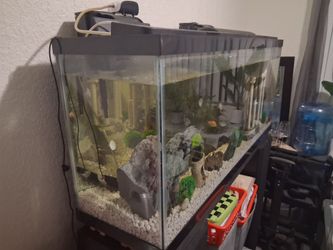 Big 6 ft fish tank for sale !!