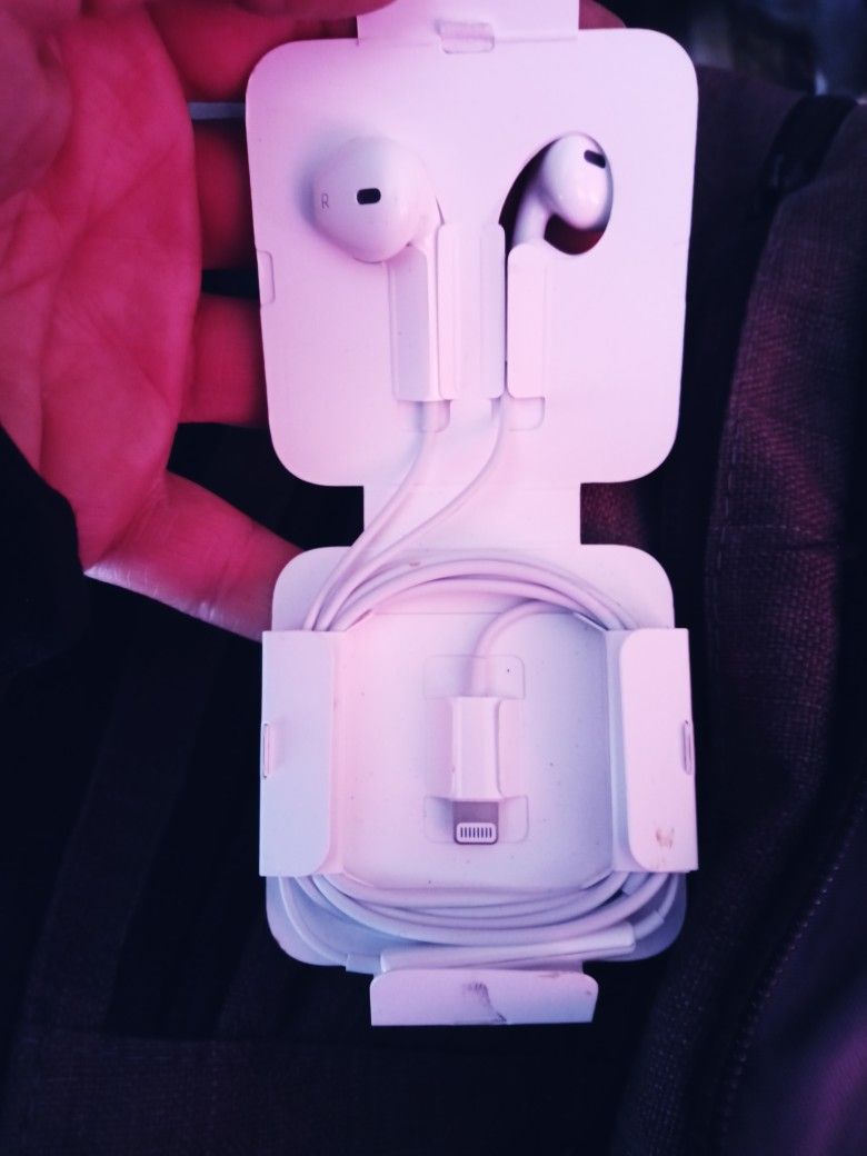 Apple Headphones