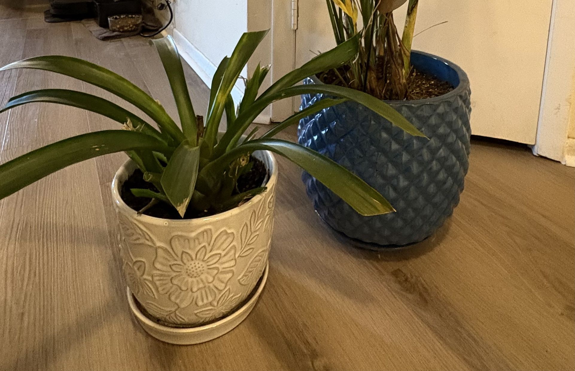2 Large Flower Pots