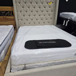 Queen Sizes Bed With Mattress 
