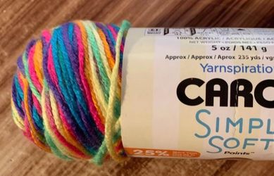 Yarn - Caron Simply Soft - Rainbow Bright